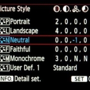 Picture Style Menu