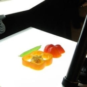 Filming vegetables with Rosco LitePad