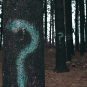 Question mark graffiti on trees