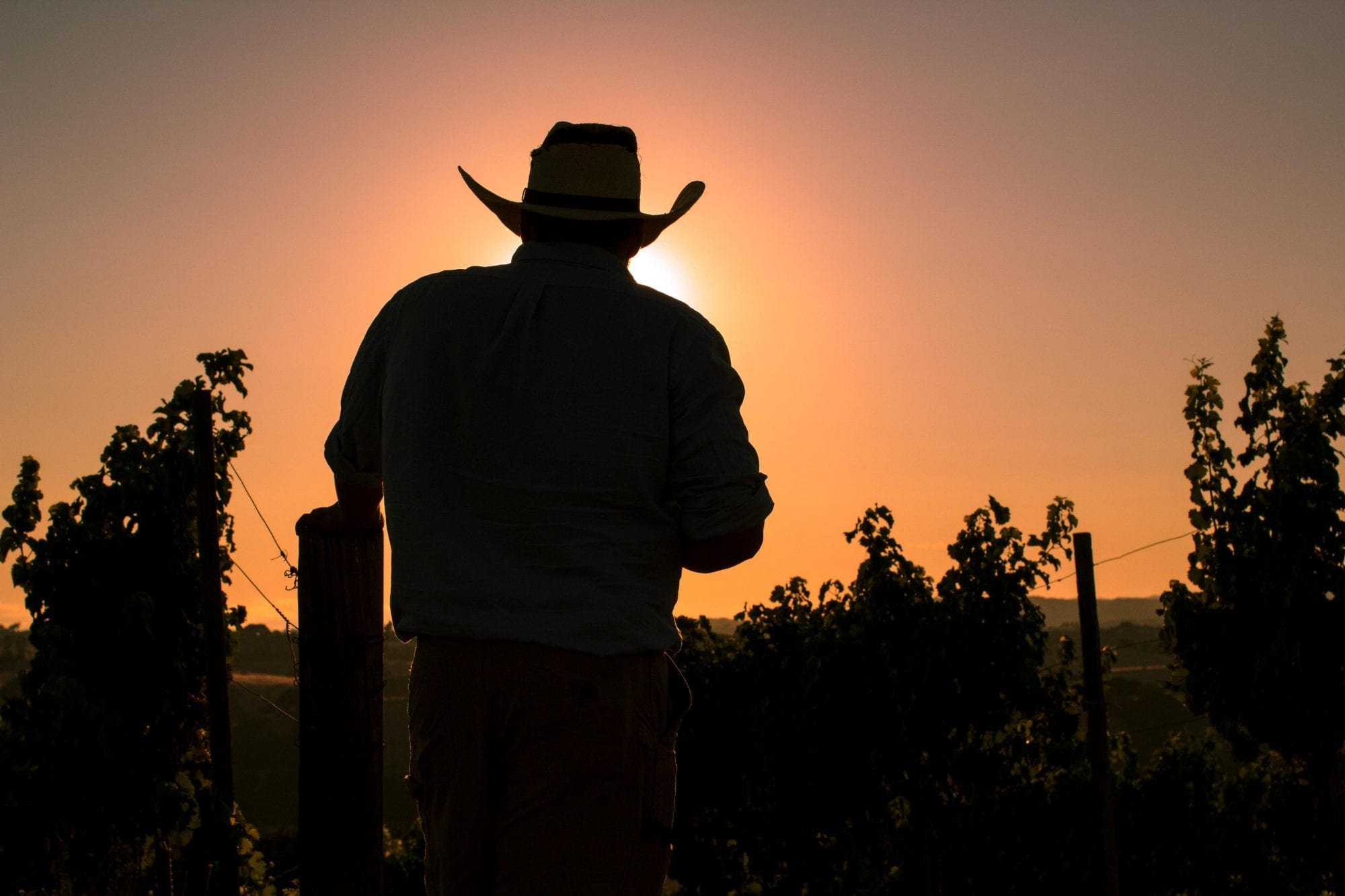 Silhouette of Fidencio Flores in Esfuerzo