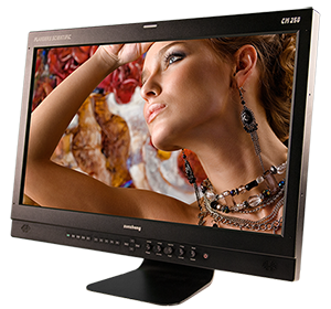 Flanders CM250 24” Monitor