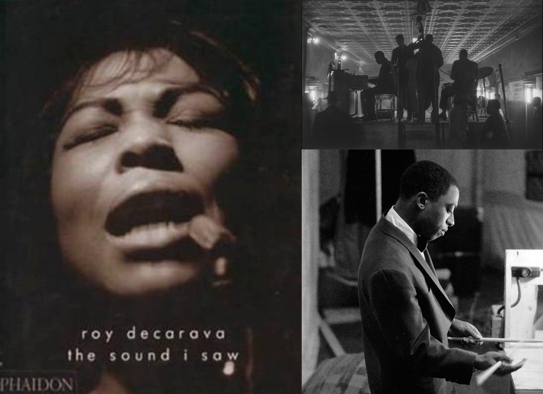 The Sound I saw Roy Decarava