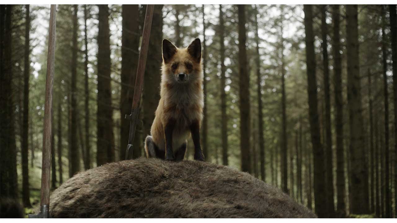 The Fox in The Green Knight film adaptation