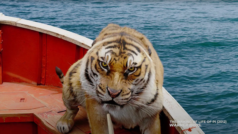 Visual Effects on Life of Pi