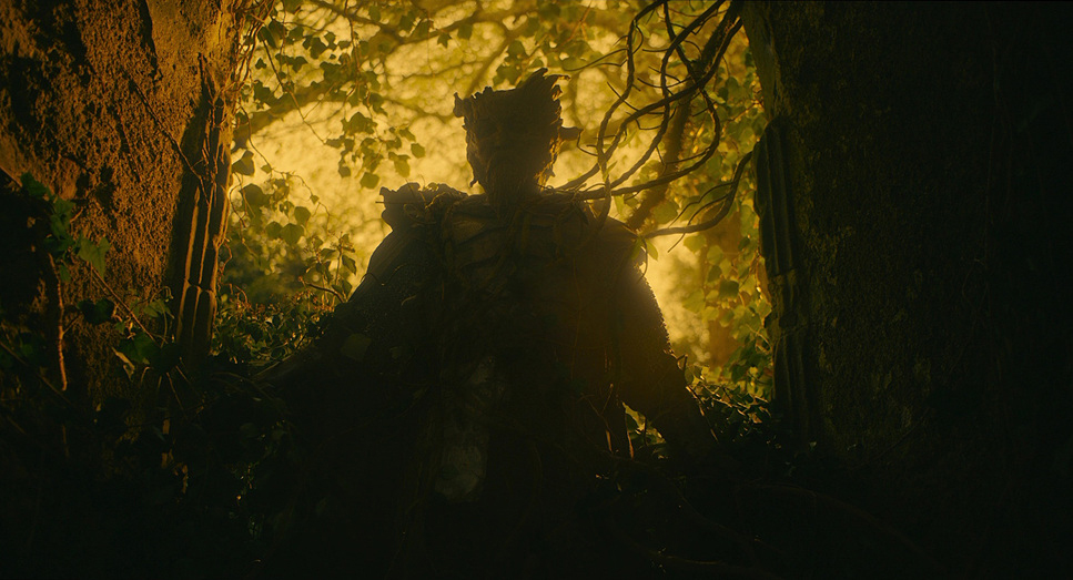 The Green Knight film transitional color