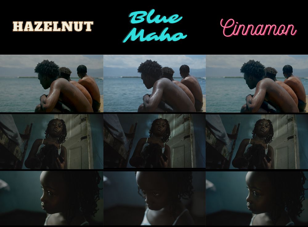 Gabrielle Blackwood Dark Skin Tone Lookup Tables (LUTs): Blue Maho, Hazelnut, and Cinnamon