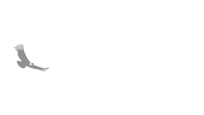 Kondor Blue logo