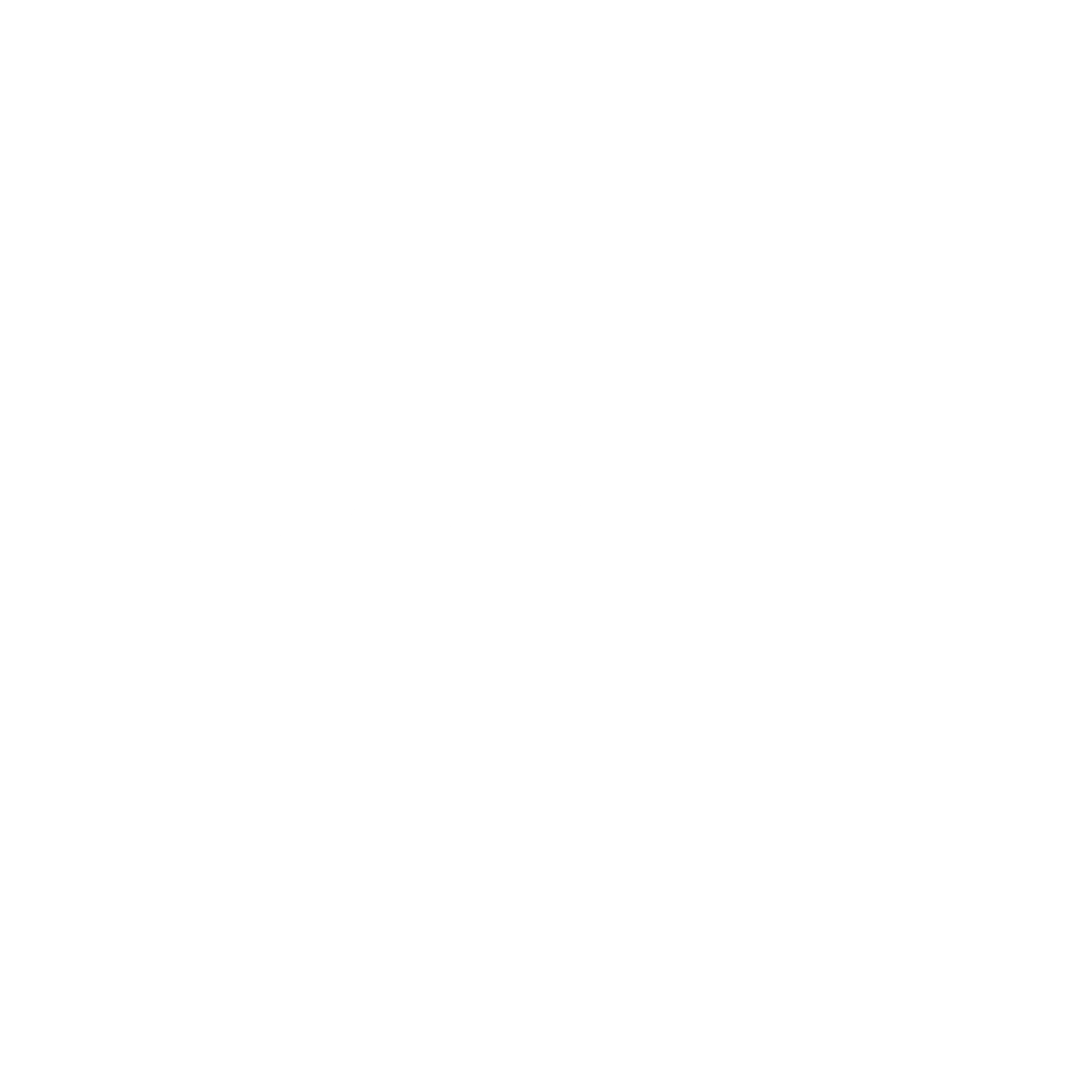 Nanlux logo
