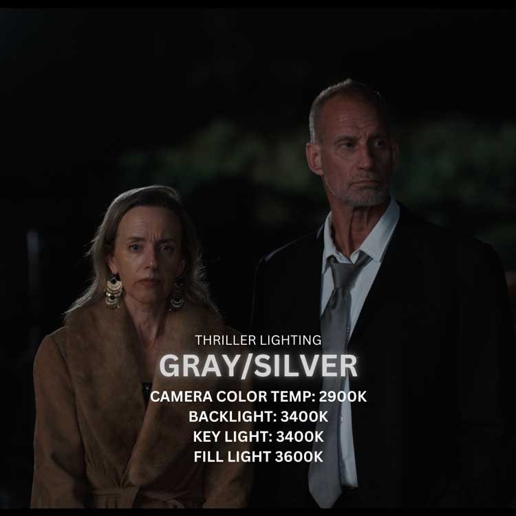 Gray Silver Moonlight for Thriller