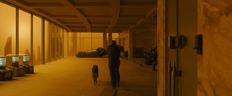 Blade Runner 2049 (2017) | Alcon Entertainment