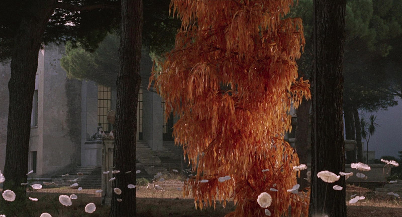 Juliet of the Spirits (1965) | Rizzoli Film