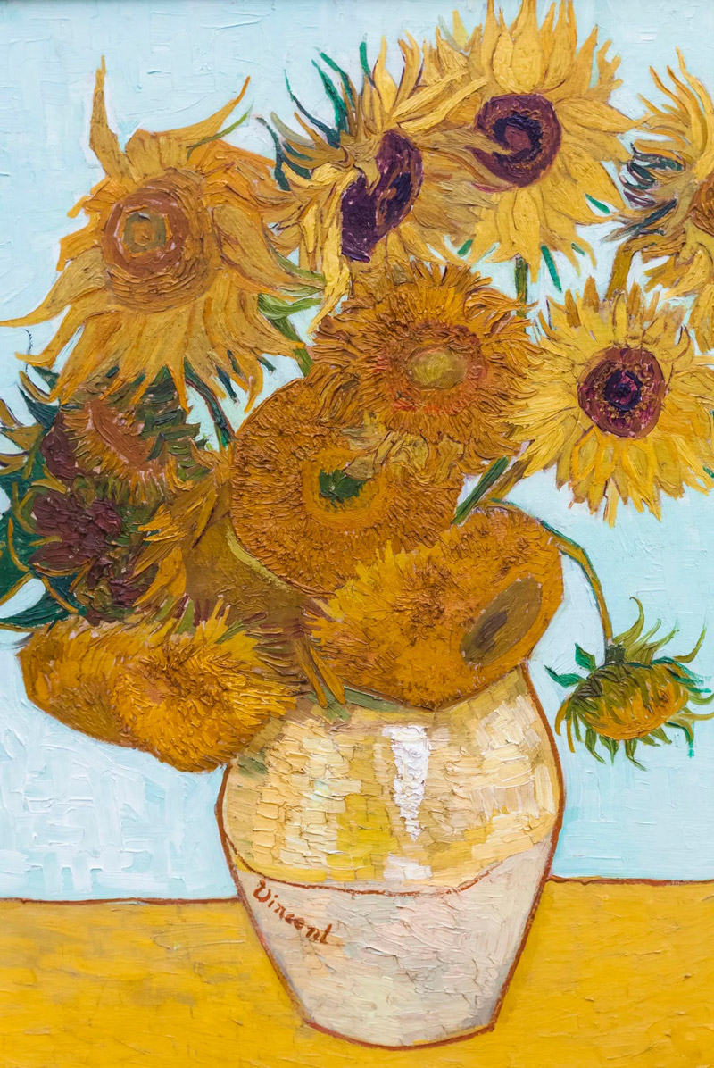 Sunflowers by Vincent Van Gogh (August 1888)