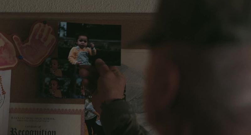 Redwood cabin in One Battle After Another