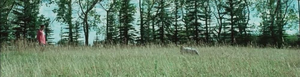 The World of Die My Love - Banner