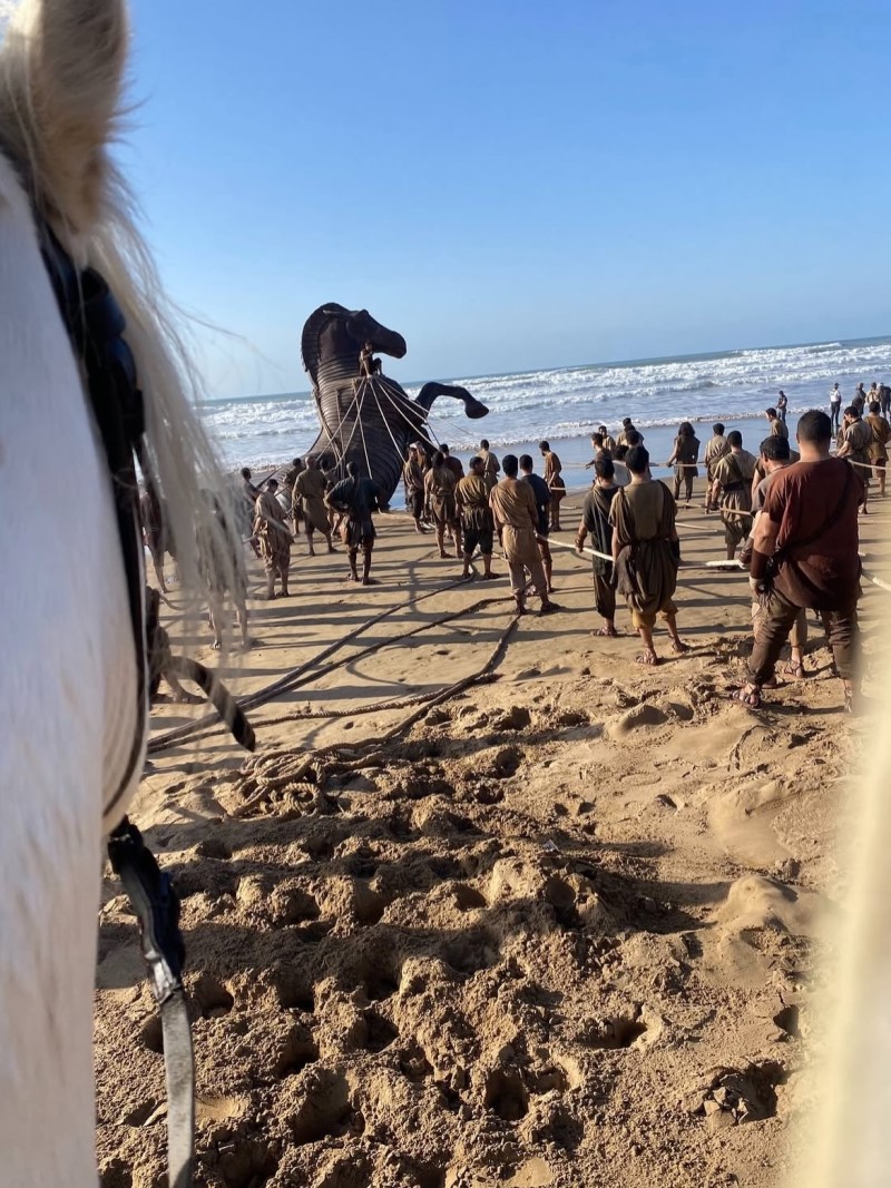 The Odyssey Trojan Horse on Beach